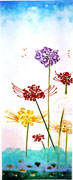 Lycoris Lilies